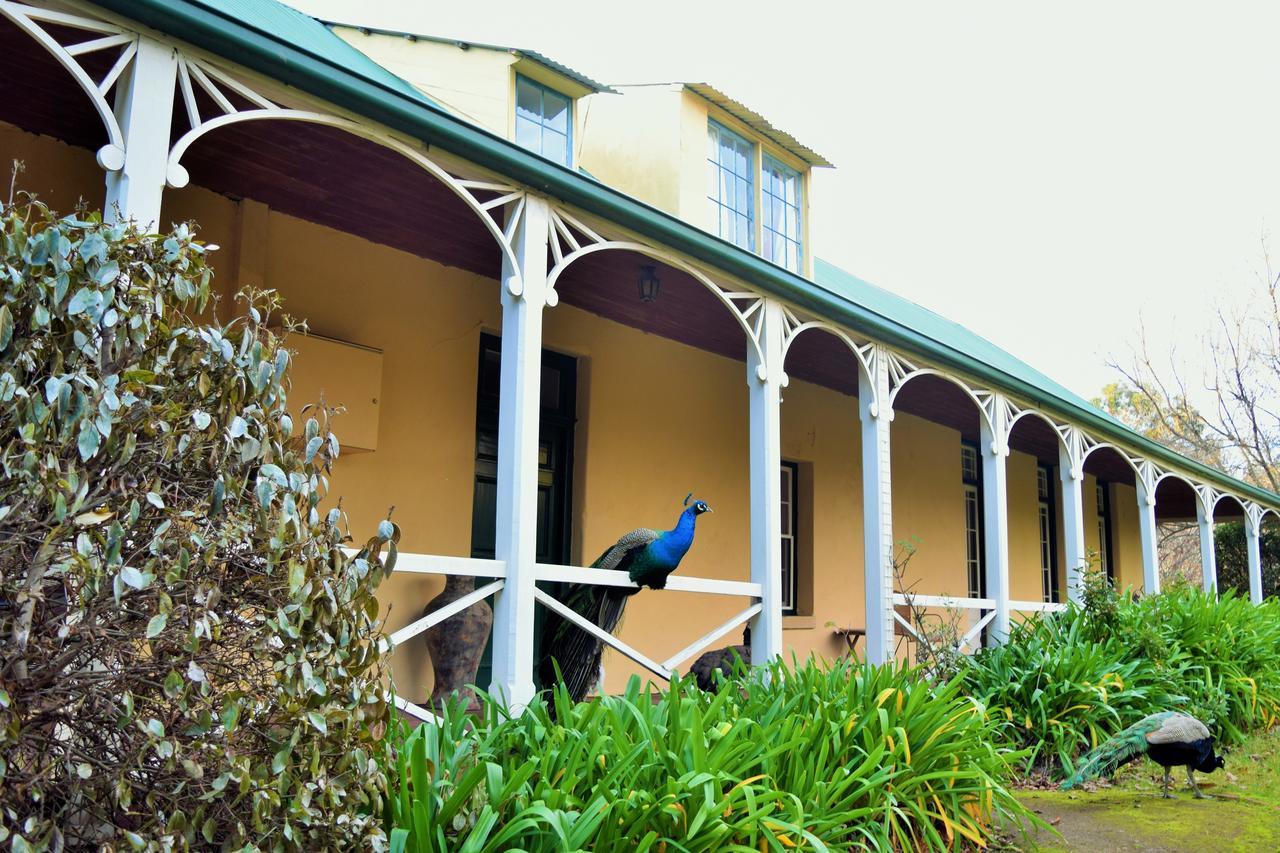 Cleburne Homestead Risdon Eksteriør bilde