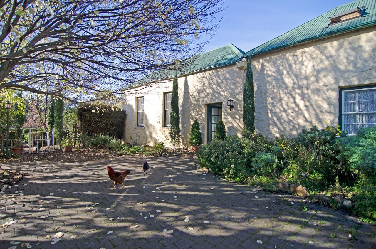 Cleburne Homestead Risdon Eksteriør bilde